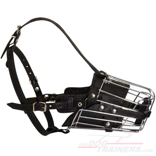 metal cage dog muzzle